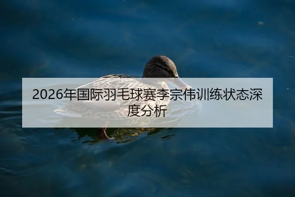 nian-guo-ji-yu-mao-qiu-sai-li-zong-wei-xun-lian-zhuang-tai-shen-du-fen-xi-2-614.jpg